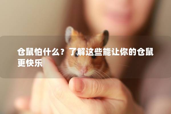 仓鼠怕什么？了解这些能让你的仓鼠更快乐