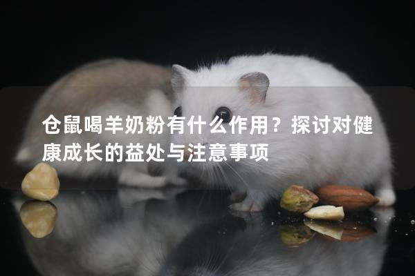 仓鼠喝羊奶粉有什么作用？探讨对健康成长的益处与注意事项