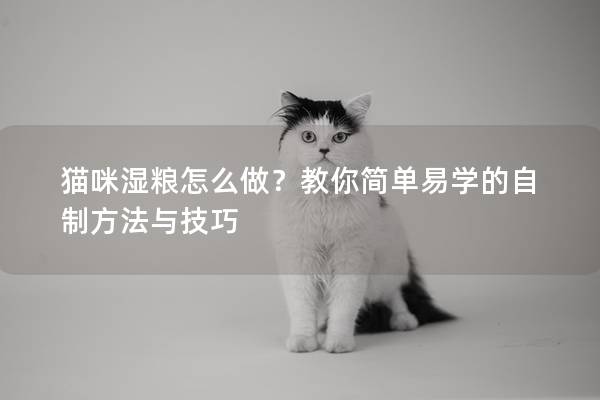 猫咪湿粮怎么做？教你简单易学的自制方法与技巧