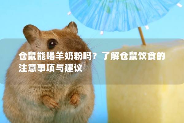 仓鼠能喝羊奶粉吗？了解仓鼠饮食的注意事项与建议