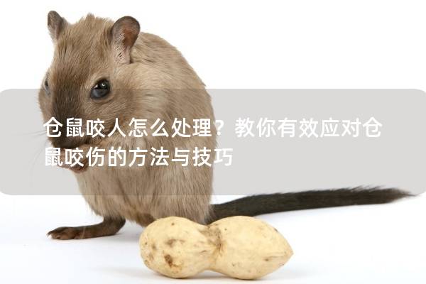 仓鼠咬人怎么处理?教你有效应对仓鼠咬伤的方法与技巧 仓鼠咬人怎么处理?教你有效应对仓鼠咬伤的方法与技巧