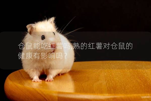 仓鼠能吃红薯吗,熟的红薯对仓鼠的健康有影响吗？