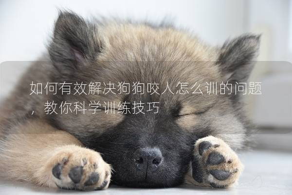 如何有效解决狗狗咬人怎么训的问题，教你科学训练技巧