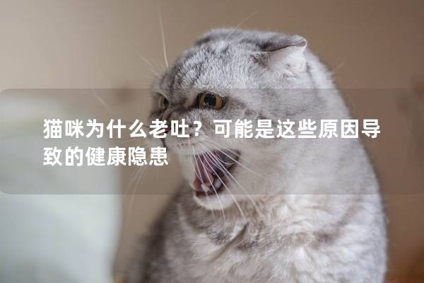 猫咪为什么老吐？可能是这些原因导致的健康隐患