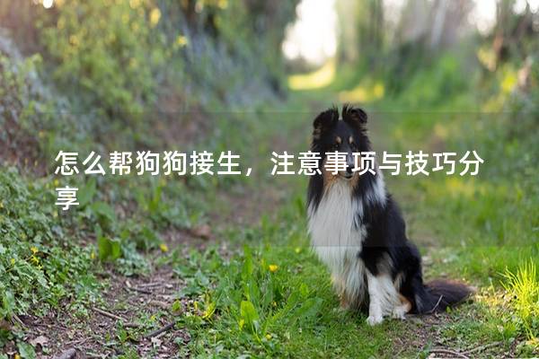 怎么帮狗狗接生，注意事项与技巧分享