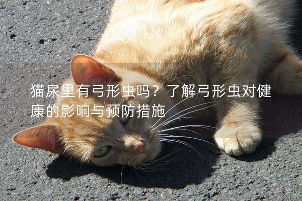 猫尿里有弓形虫吗？了解弓形虫对健康的影响与预防措施