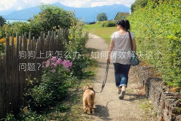 狗狗上床怎么办,如何有效解决这个问题? 狗狗上床怎么办,如何有效解决这个问题?