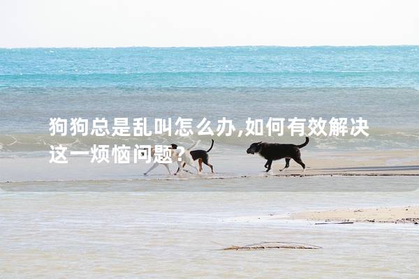 狗狗总是乱叫怎么办,如何有效解决这一烦恼问题？