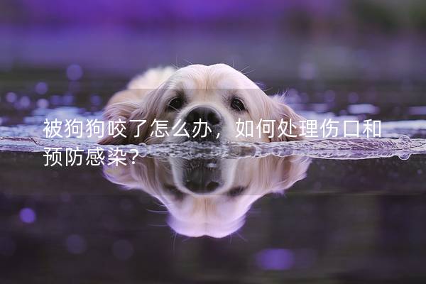 被狗狗咬了怎么办，如何处理伤口和预防感染？