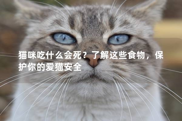 猫咪吃什么会死？了解这些食物，保护你的爱猫安全