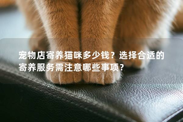宠物店寄养猫咪多少钱？选择合适的寄养服务需注意哪些事项？
