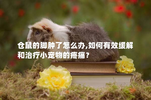 仓鼠的脚肿了怎么办,如何有效缓解和治疗小宠物的疼痛？