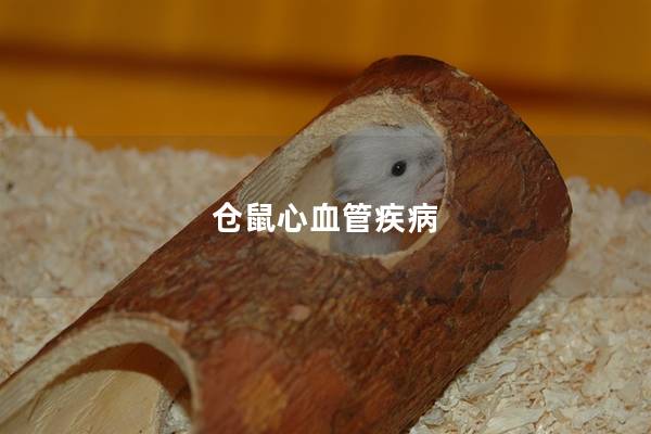 仓鼠心血管疾病