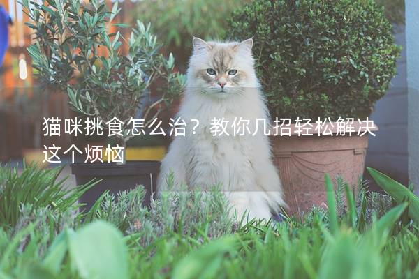 猫咪挑食怎么治？教你几招轻松解决这个烦恼