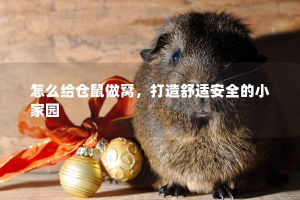 怎么给仓鼠做窝，打造舒适安全的小家园