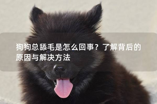 狗狗总舔毛是怎么回事？了解背后的原因与解决方法