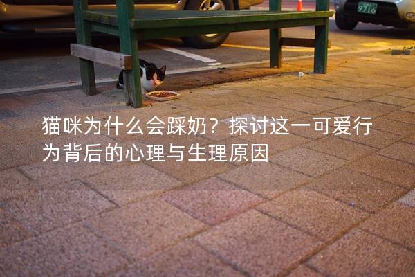 猫咪为什么会踩奶？探讨这一可爱行为背后的心理与生理原因