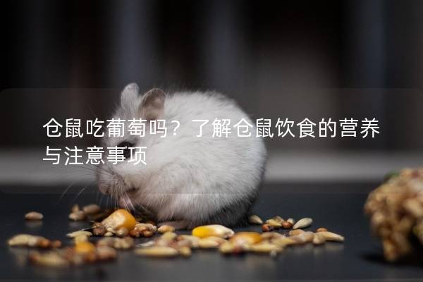 仓鼠吃葡萄吗？了解仓鼠饮食的营养与注意事项
