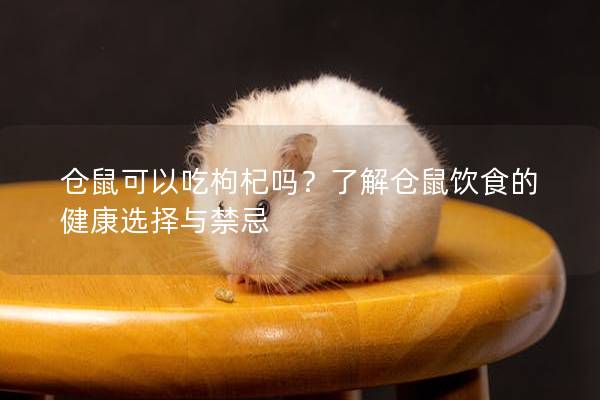 仓鼠可以吃枸杞吗？了解仓鼠饮食的健康选择与禁忌