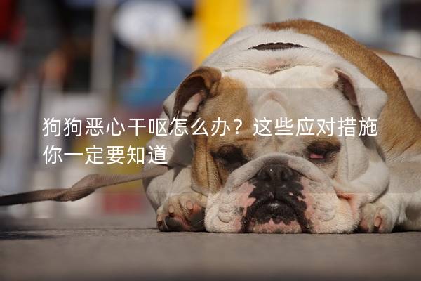 狗狗恶心干呕怎么办？这些应对措施你一定要知道