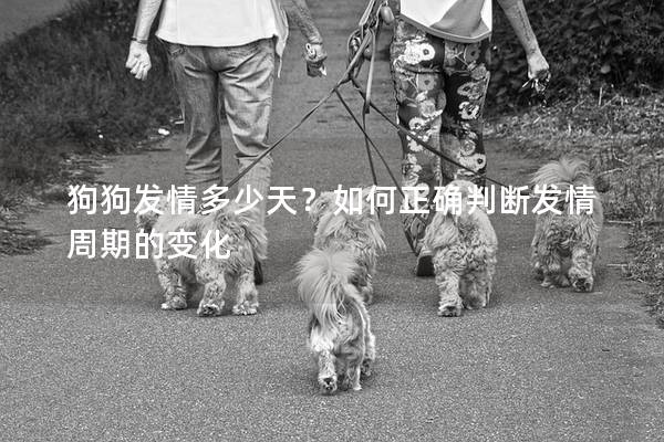 狗狗发情多少天？如何正确判断发情周期的变化