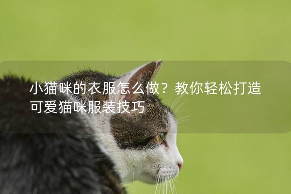 小猫咪的衣服怎么做？教你轻松打造可爱猫咪服装技巧