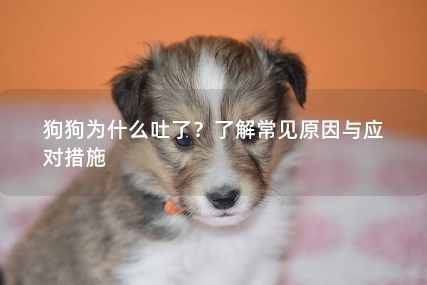 狗狗为什么吐了?了解常见原因与应对措施 狗狗为什么吐了?了解常见原因与应对措施