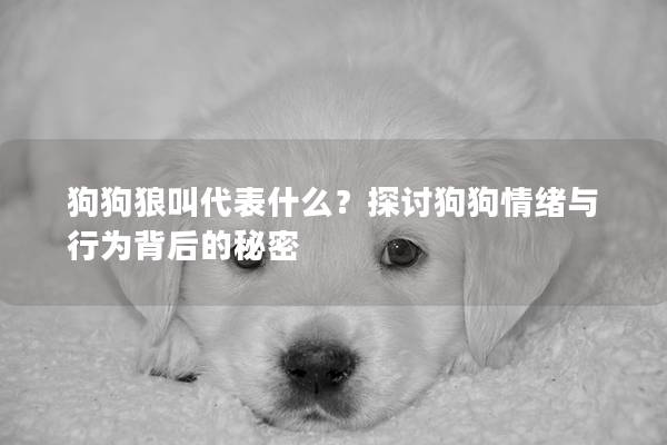 狗狗狼叫代表什么？探讨狗狗情绪与行为背后的秘密