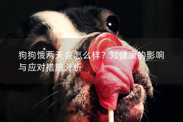 狗狗饿两天会怎么样？对健康的影响与应对措施分析