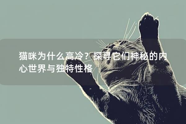 猫咪为什么高冷？探寻它们神秘的内心世界与独特性格