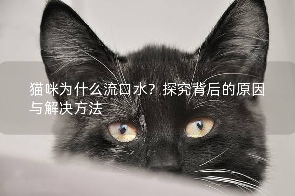 猫咪为什么流口水？探究背后的原因与解决方法