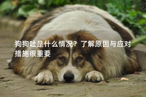 狗狗吐是什么情况？了解原因与应对措施很重要