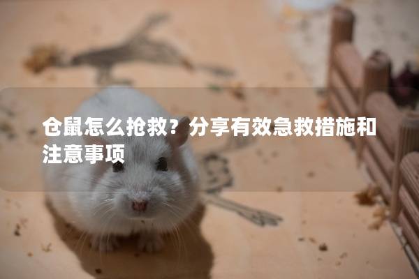 仓鼠怎么抢救?分享有效急救措施和注意事项 仓鼠怎么抢救?分享有效急救措施和注意事项