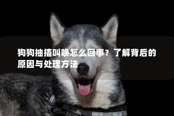狗狗抽搐叫唤怎么回事？了解背后的原因与处理方法