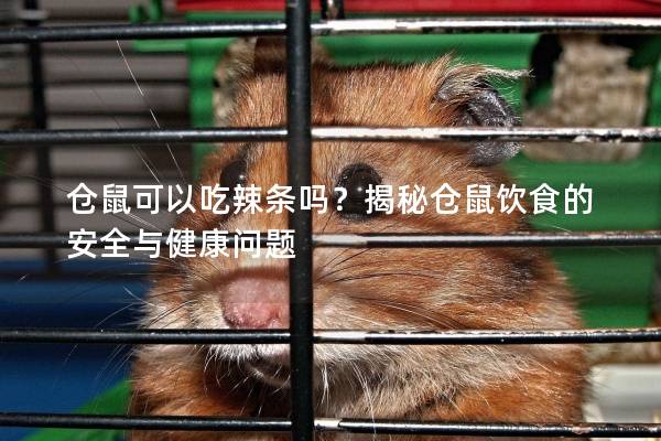 仓鼠可以吃辣条吗？揭秘仓鼠饮食的安全与健康问题