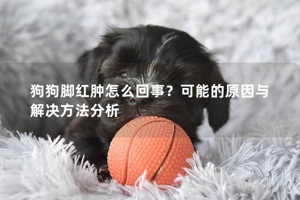 狗狗脚红肿怎么回事？可能的原因与解决方法分析