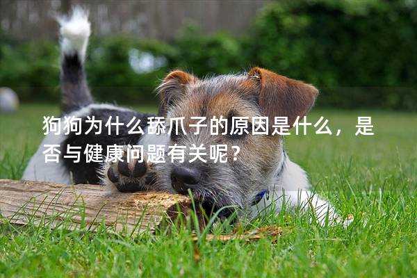 狗狗为什么舔爪子的原因是什么，是否与健康问题有关呢？