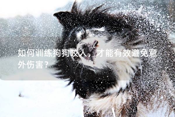 如何训练狗狗咬人，才能有效避免意外伤害？