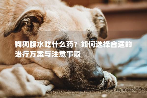 狗狗腹水吃什么药？如何选择合适的治疗方案与注意事项