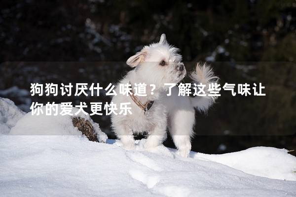 狗狗讨厌什么味道？了解这些气味让你的爱犬更快乐