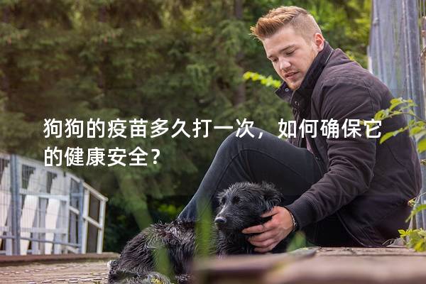 狗狗的疫苗多久打一次，如何确保它的健康安全？