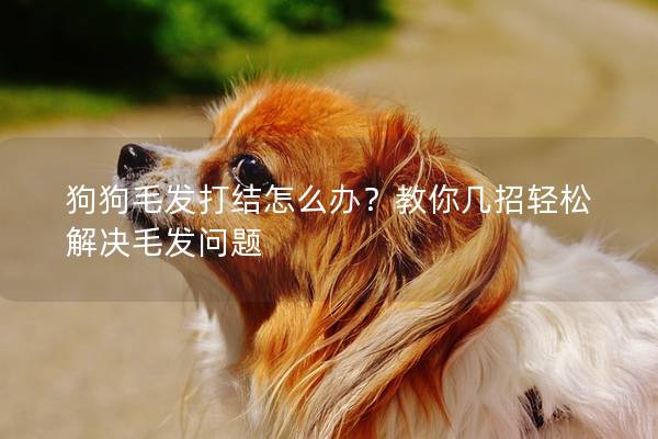 狗狗毛发打结怎么办？教你几招轻松解决毛发问题