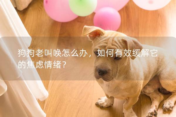 狗狗老叫唤怎么办，如何有效缓解它的焦虑情绪？