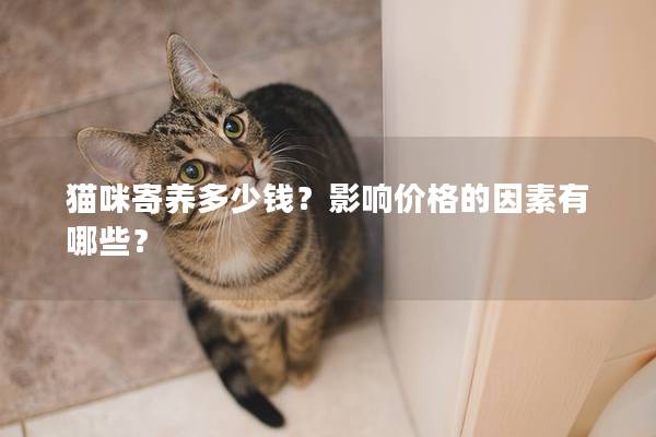 猫咪寄养多少钱？影响价格的因素有哪些？