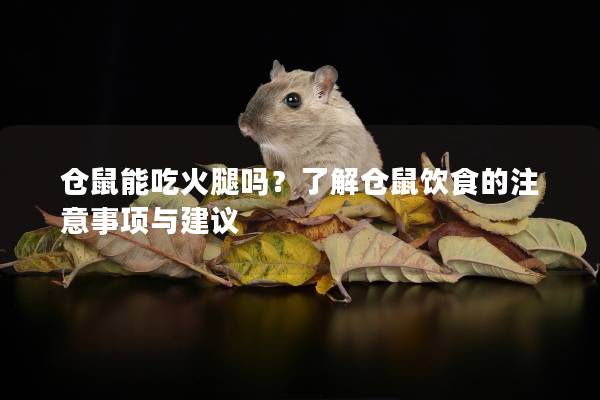 仓鼠能吃火腿吗？了解仓鼠饮食的注意事项与建议