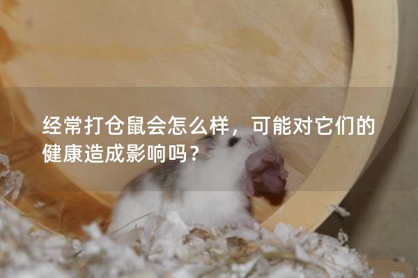 经常打仓鼠会怎么样，可能对它们的健康造成影响吗？