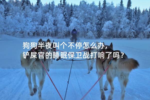 狗狗半夜叫个不停怎么办, 铲屎官的睡眠保卫战打响了吗? 狗狗半夜叫个不停怎么办, 铲屎官的睡眠保卫战打响了吗?