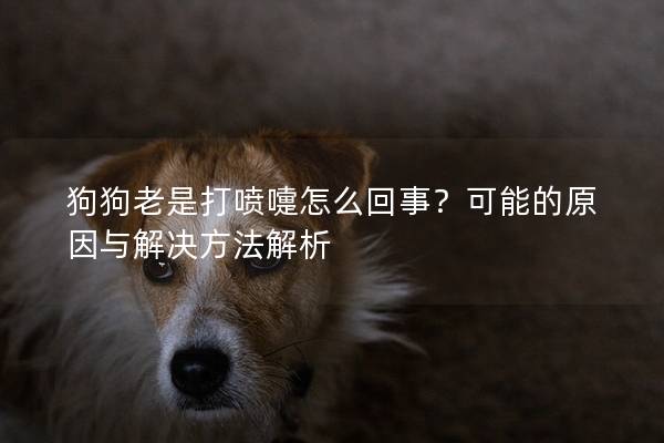 狗狗老是打喷嚏怎么回事?可能的原因与解决方法解析 狗狗老是打喷嚏怎么回事?可能的原因与解决方法解析