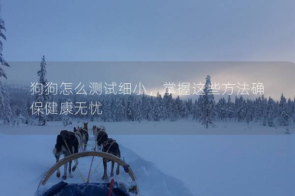 狗狗怎么测试细小，掌握这些方法确保健康无忧