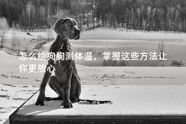 怎么给狗狗测体温，掌握这些方法让你更放心